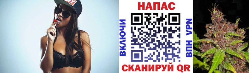 гидра   Выборг  Каннабис гибрид 